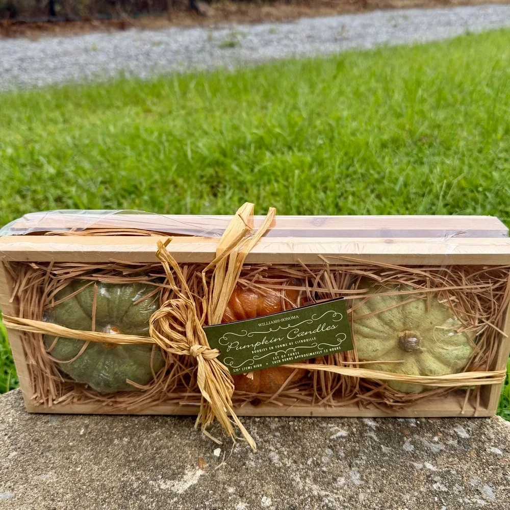 Williams Sonoma Pumpkin Candles Set of 3 Fall Decor Wooden Crate New 6996920